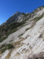 Klik za večjo sliko