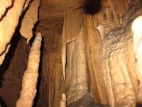 Klik za večjo sliko