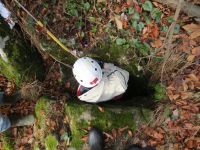 Klik za večjo sliko