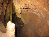 Klik za večjo sliko