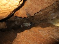 Klik za večjo sliko