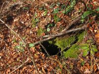 Klik za večjo sliko