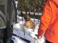 Klik za večjo sliko