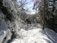 Klik za večjo sliko