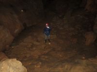 Klik za večjo sliko