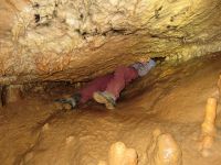 Klik za večjo sliko