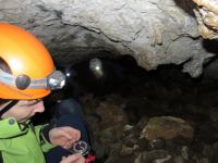 Klik za večjo sliko