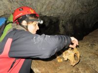 Klik za večjo sliko