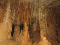 Klik za večjo sliko