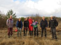 Klik za večjo sliko