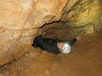 Klik za večjo sliko