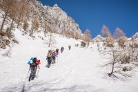 Klik za večjo sliko