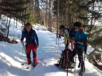 Klik za večjo sliko