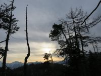 Klik za večjo sliko