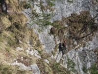 Klik za večjo sliko