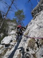 Klik za večjo sliko