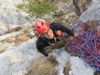 Klik za večjo sliko