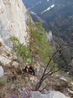 Klik za večjo sliko