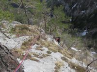 Klik za večjo sliko