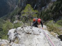 Klik za večjo sliko