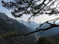 Klik za večjo sliko