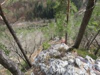 Klik za večjo sliko