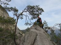 Klik za večjo sliko