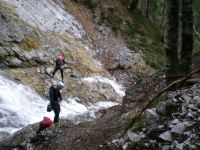 Klik za večjo sliko