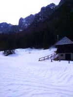 Klik za večjo sliko