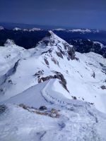 Klik za večjo sliko