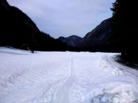 Klik za večjo sliko