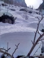 Klik za večjo sliko