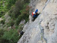 Klik za večjo sliko