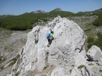 Klik za večjo sliko