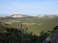 Klik za večjo sliko