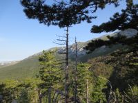 Klik za večjo sliko