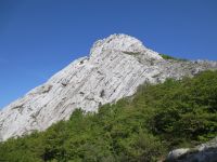 Klik za večjo sliko