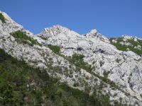 Klik za večjo sliko