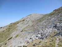 Klik za večjo sliko