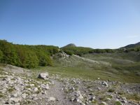 Klik za večjo sliko