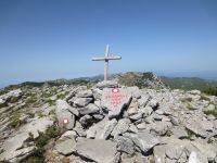 Klik za večjo sliko