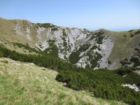 Klik za večjo sliko