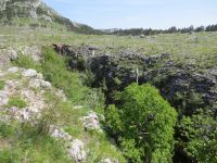 Klik za večjo sliko