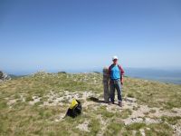 Klik za večjo sliko