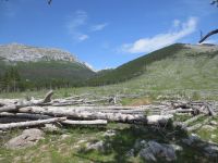 Klik za večjo sliko