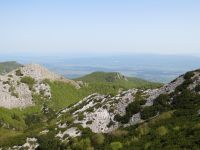 Klik za večjo sliko