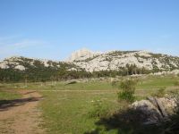 Klik za večjo sliko