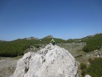 Klik za večjo sliko