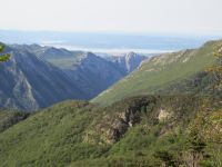 Klik za večjo sliko