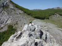 Klik za večjo sliko